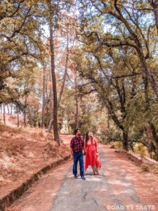 Barog Travel Guide