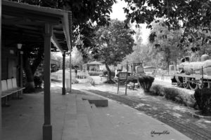 Rail Museum