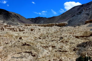 Leh Itinerary