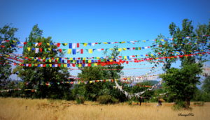 Paragliding