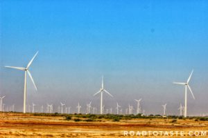 Rann Utsav and Festa De Diu