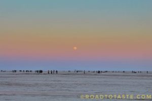 Rann of Kutch