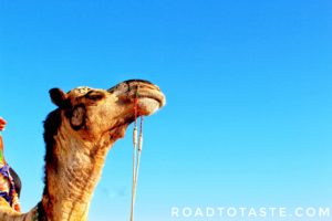 Rann Utsav and Festa De Diu
