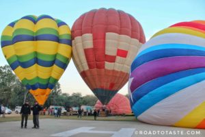 Taj Ballon Festival
