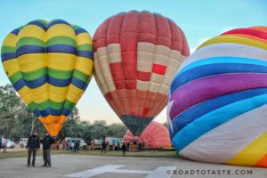 Taj Balloon Festival
