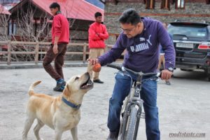 Shivadya Resort