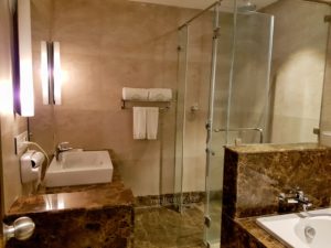 Hotel Ariya