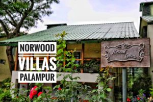 Norwood Villas