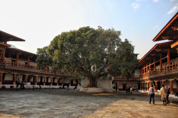 Punakha