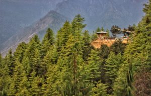 Paro