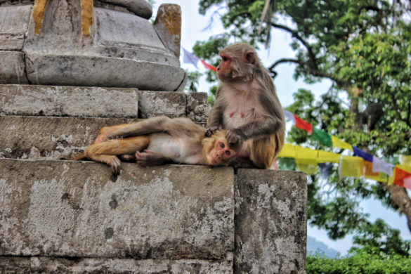 Kathmandu