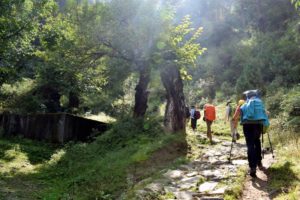 Chaainsheel Bugyal trek
