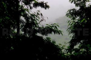 Nandi Hills