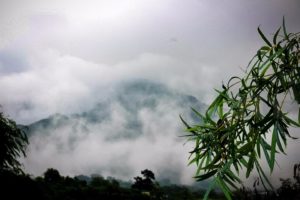 Nandi Hills