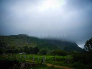 Nandi Hills