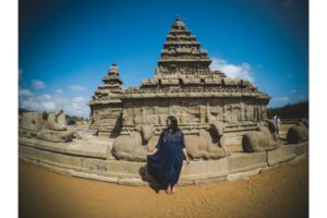 Great Indian Food Trip