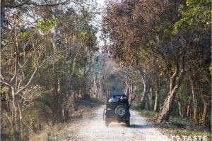 Kaziranga