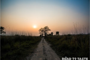Kaziranga