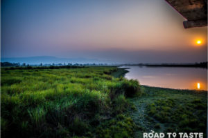 Kaziranga