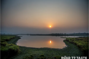 Kaziranga