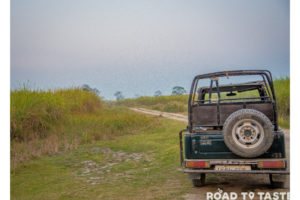 Kaziranga