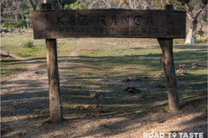 Kaziranga