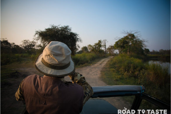 Kaziranga