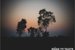 Kaziranga