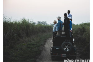 Kaziranga