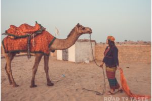 Palace on Wheels