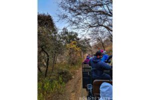 Palace on Wheels
