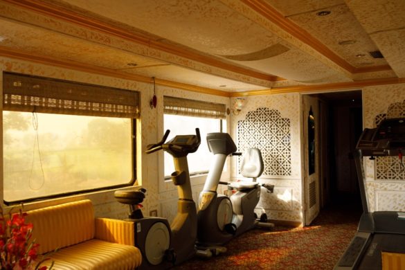 Palace on Wheels