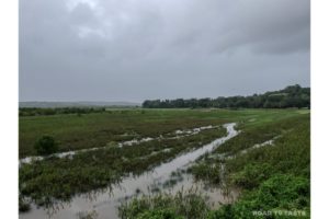 Divar Island Guide