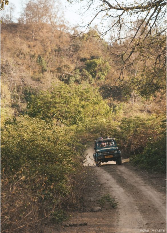 Corbett National Park