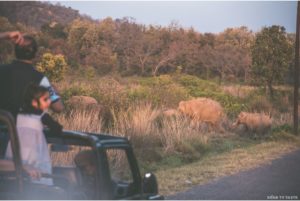 Corbett National Park