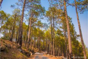 The Kumaon