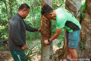 Sabah Travel Guide