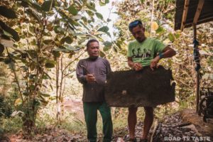 Sabah Travel Guide
