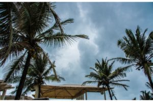 The Park Hotel Calangute