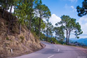 Kasauli