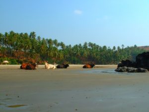 Goa