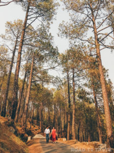 Uttarakhand