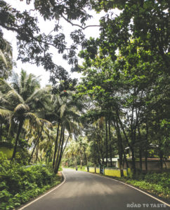 South Goa in Monsoons