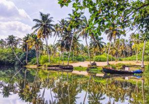 South India Temple Tour