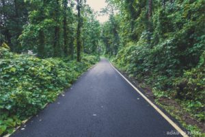 Divar Island Guide