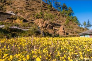 Sirmour Himachal Pradesh