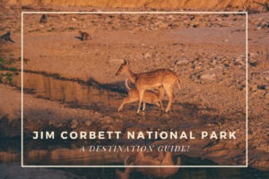 Corbett National Park