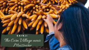 Corn Village
