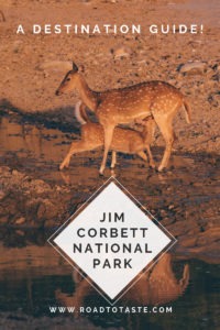 Corbett National Park